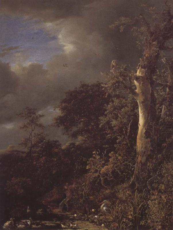 Jacob van Ruisdael Oak Tree and Dense Shrubbery at the Edge of a pond